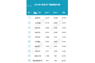 2025年1月皮卡市場(chǎng)數(shù)據(jù)分析 銷量排行榜